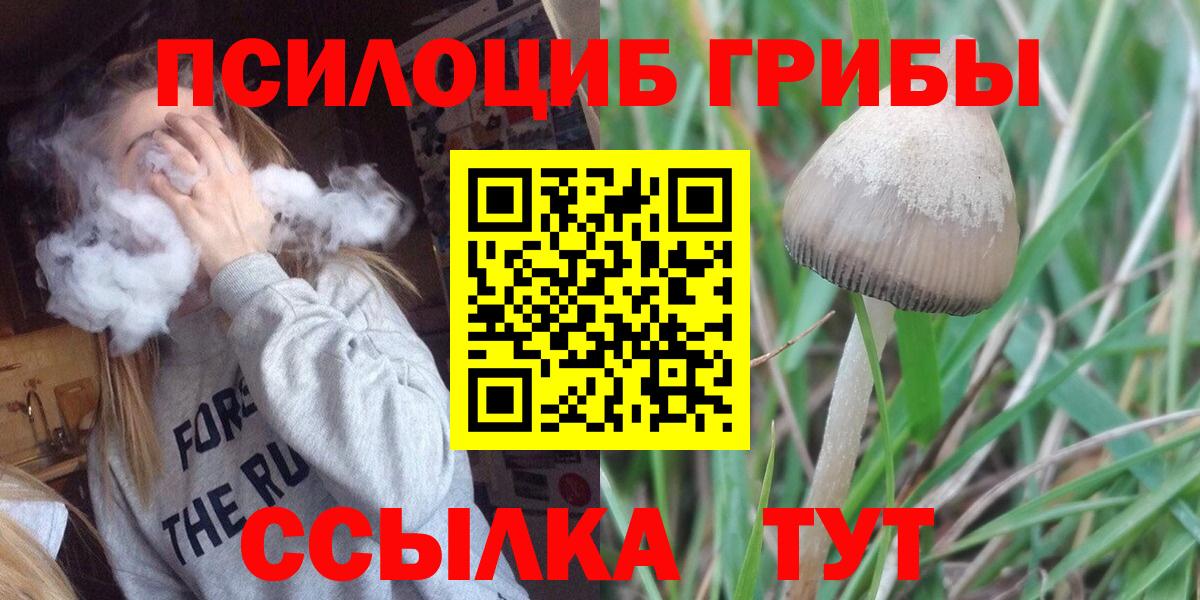 Псилоцибиновые грибы GOLDEN TEACHER  Вход с VPN  Лобня 