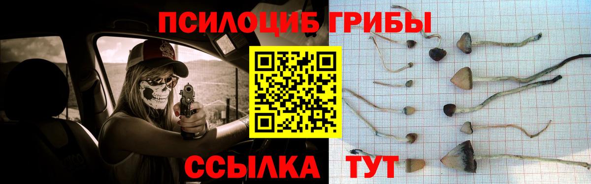 Псилоцибиновые грибы MAGIC MUSHROOMS  где можно купить наркотик  Лобня 